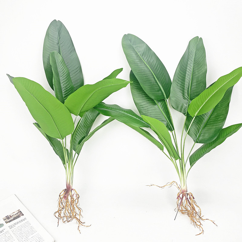Dracaena Marginata - الاصطناعي شجرة الموز الأخضر محاكاة شجرة
