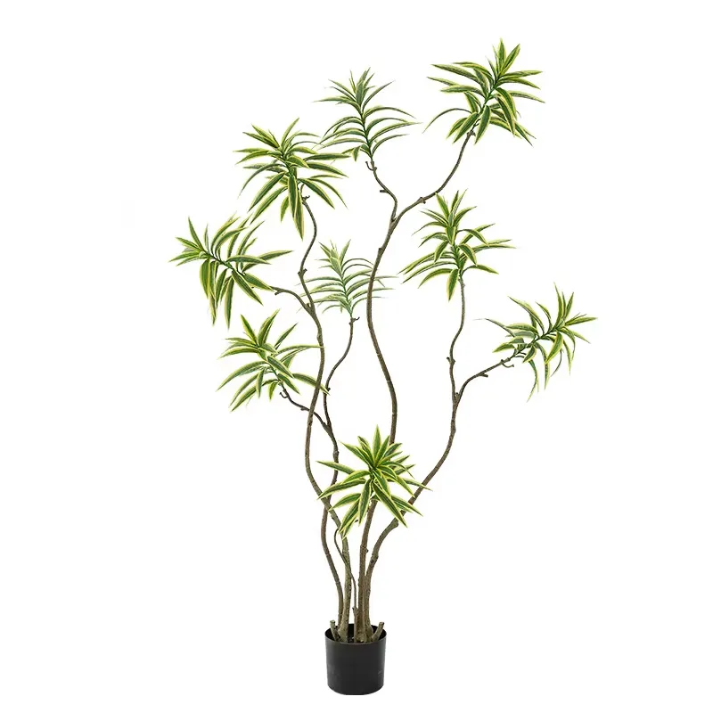 Dracaena Marginata - نبات اصطناعي عالي المحاكاة على شكل