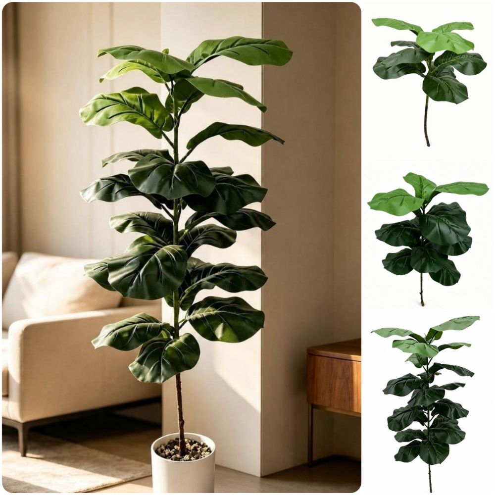 Ficus Lyrata Tree - 15/9/23 أوراق نبات التين الاصطناعي (فيكس