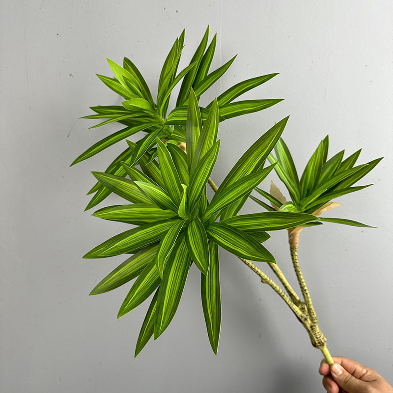 Dracaena Marginata - نباتات خضراء مقلدة 3 رؤوس زنبق