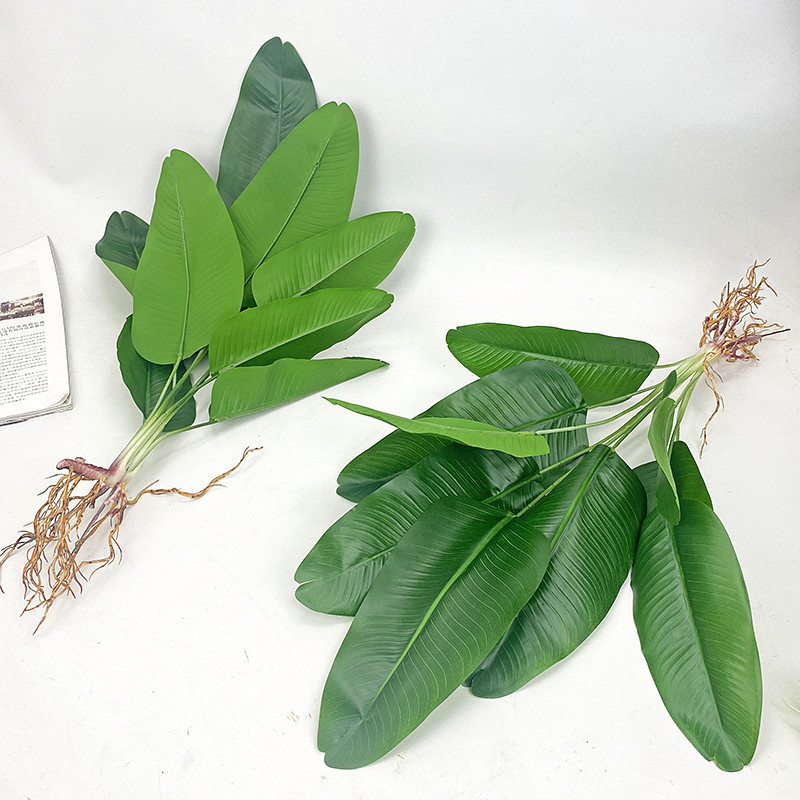 الاصطناعي شجرة الموز الأخضر مح - مراجعة Dracaena Marginata وسعره