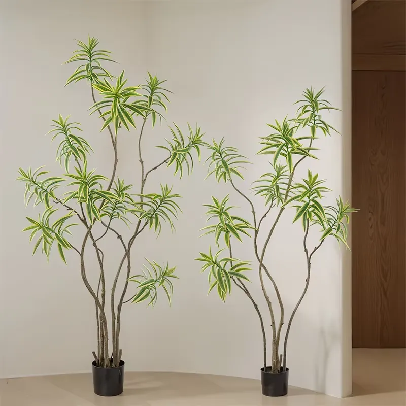 نبات اصطناعي عالي المحاكاة على - مراجعة Dracaena Marginata وسعره