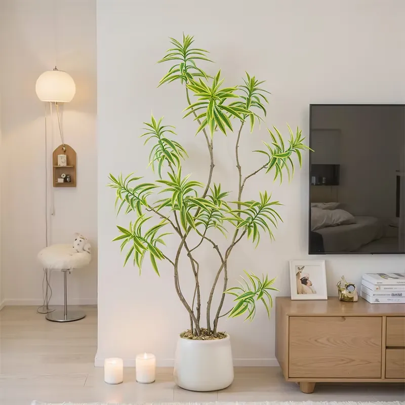 نبات اصطناعي عالي المحاكاة على - مراجعة Dracaena Marginata وسعره
