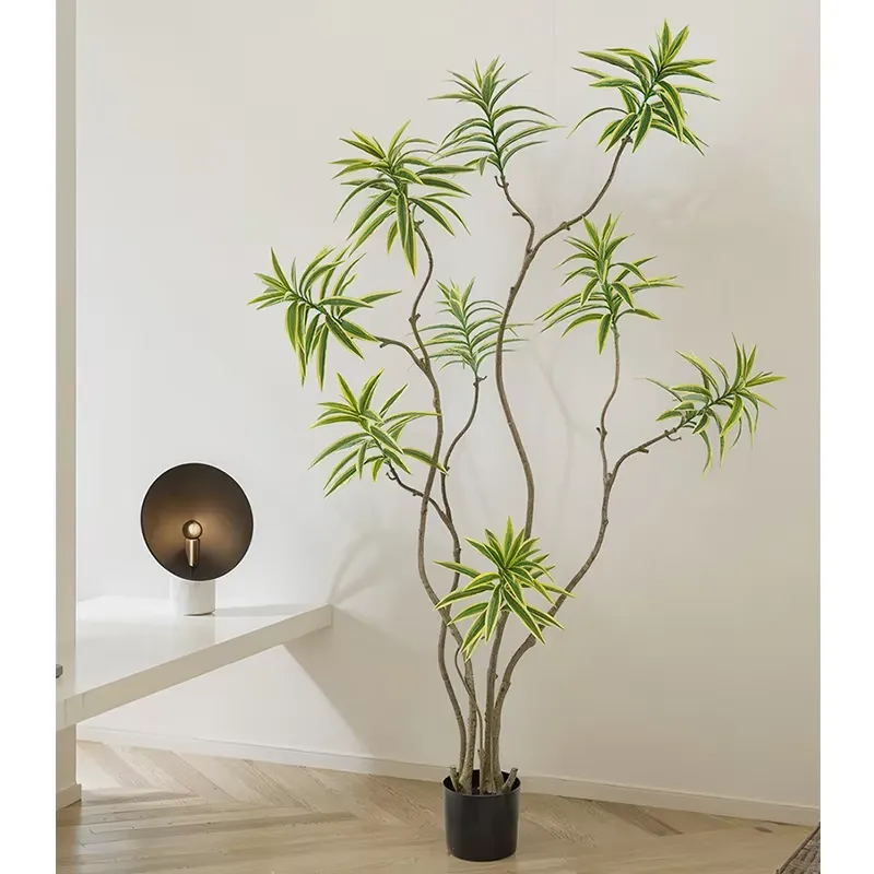 نبات اصطناعي عالي المحاكاة على - مراجعة Dracaena Marginata وسعره