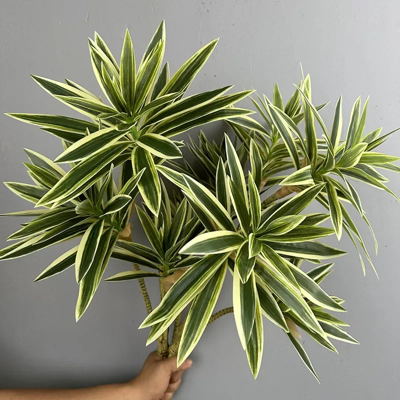 نباتات خضراء اصطناعية زنبق است - مراجعة Dracaena Marginata وسعره