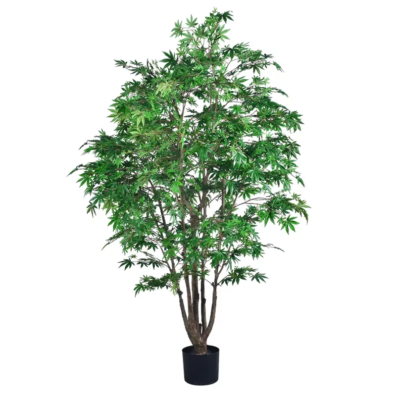 شجرة القيقب الخضراء الاصطناعية - مراجعة Dracaena Marginata وسعره
