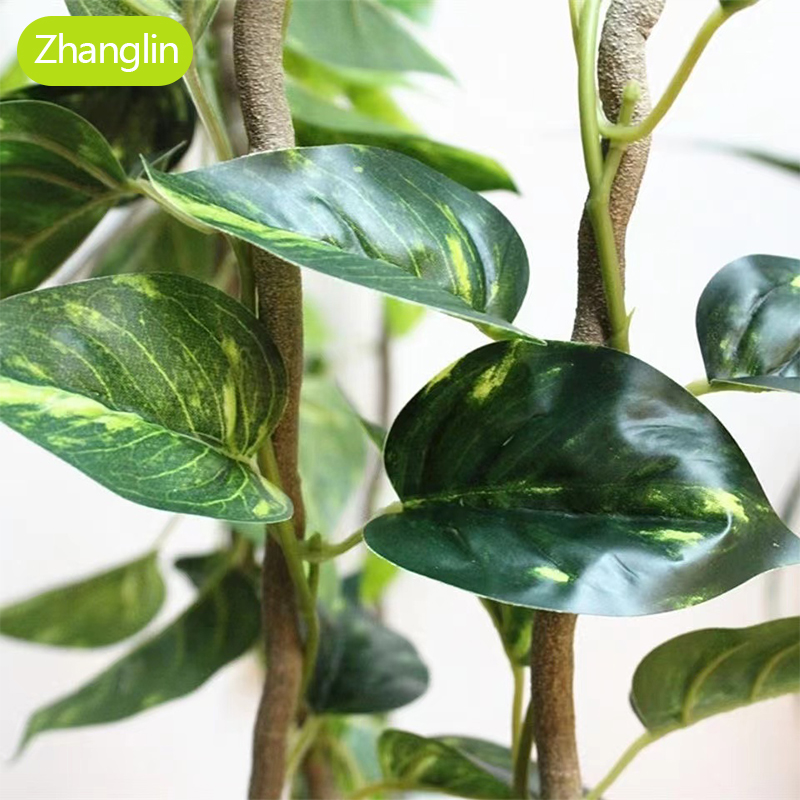 نباتات اصطناعية، نباتات متسلقة - مراجعة Monstera Adansonii وسعره
