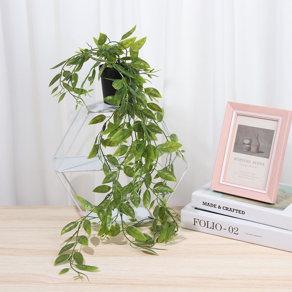 نباتات معلقة صناعية مع وعاء نب - مراجعة Ficus Lyrata Tree وسعره