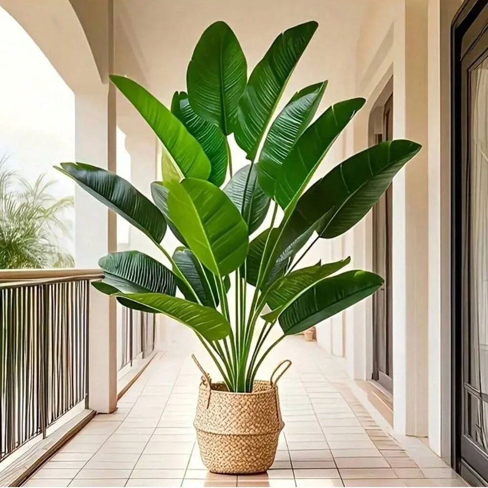 1 قطعة 18 أوراق نباتات اصطناعي - مراجعة Monstera Adansonii وسعره